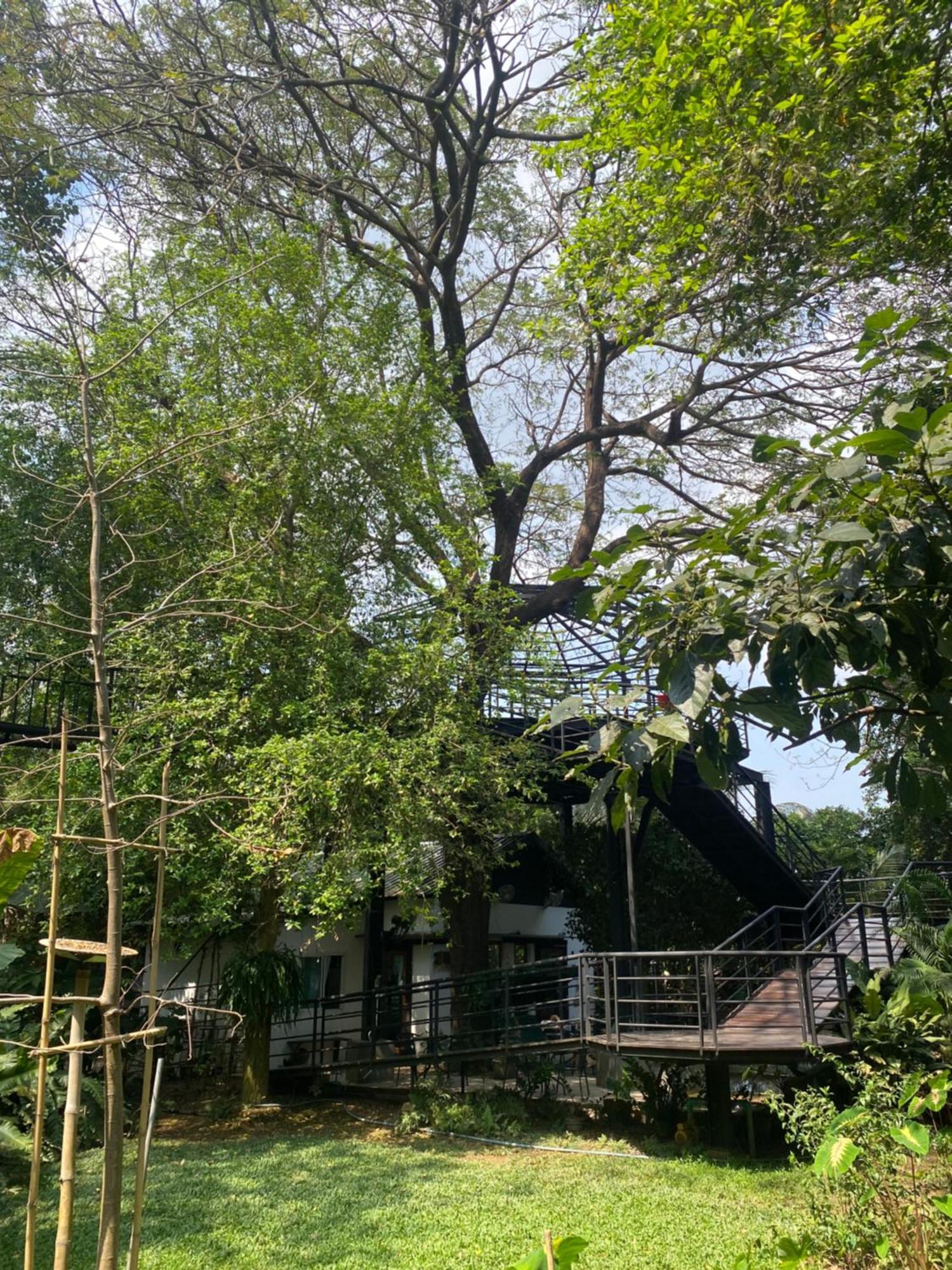 Hostelbed And Retreat Phitsanulok Eksteriør billede
